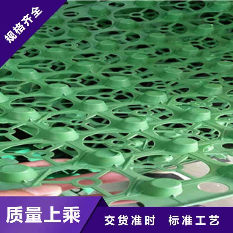 {富泰}【 蓄排水板-土工布厂家专业信赖厂家】kkfgg.com
