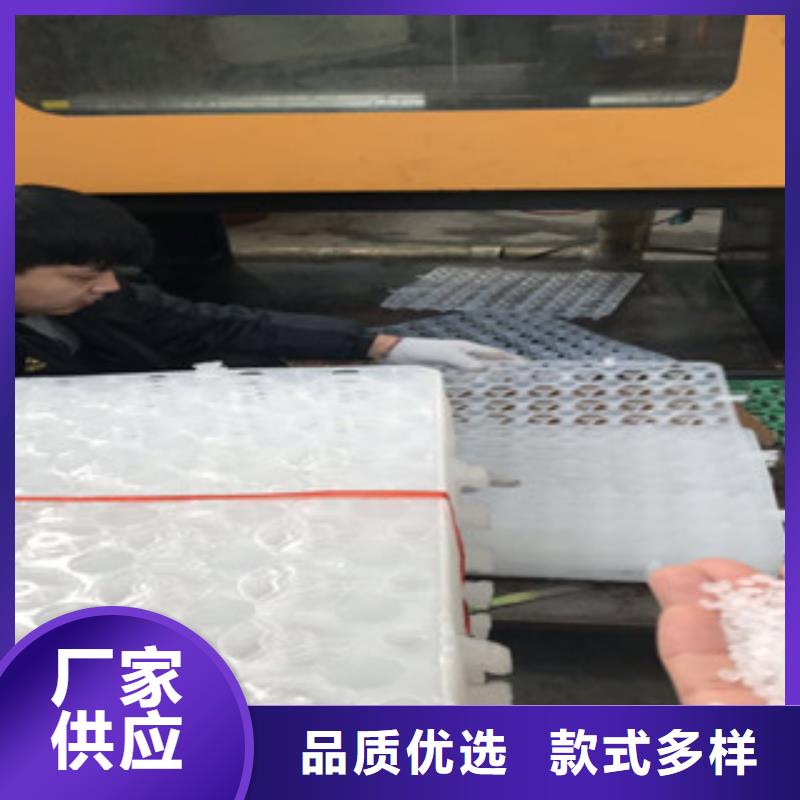 |保靖|古丈|长沙|永州|株洲|益阳(富泰)【 蓄排水板土工布厂家好产品好服务】