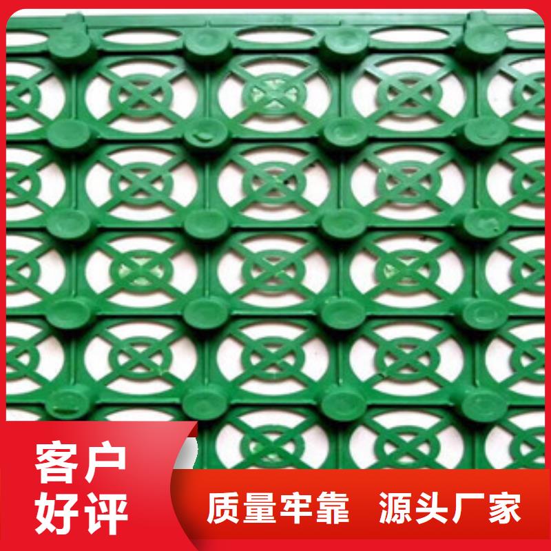 蓄排水板无纺布厂家真材实料诚信经营