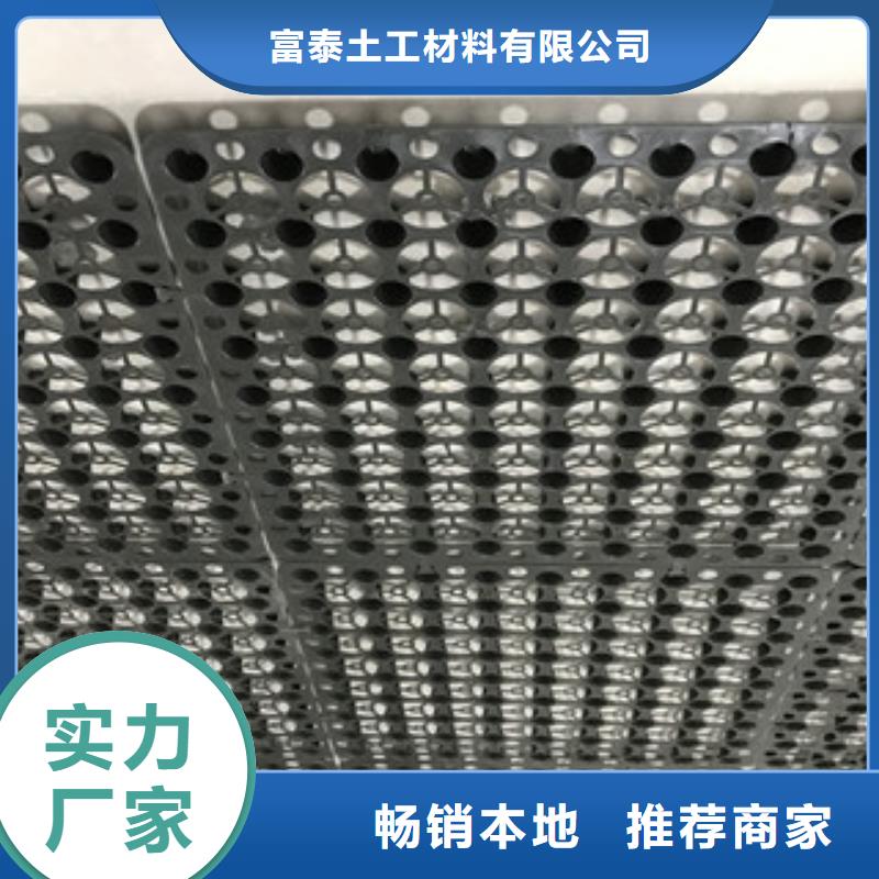 蓄排水板土工布厂家源头厂家量大价优