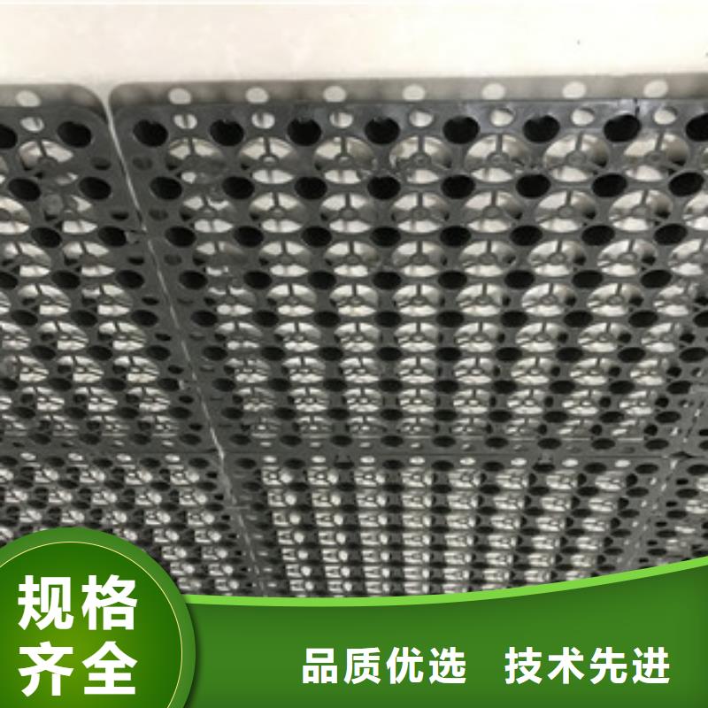《富泰》【 蓄排水板-土工布厂家服务至上】kkfgg.com
