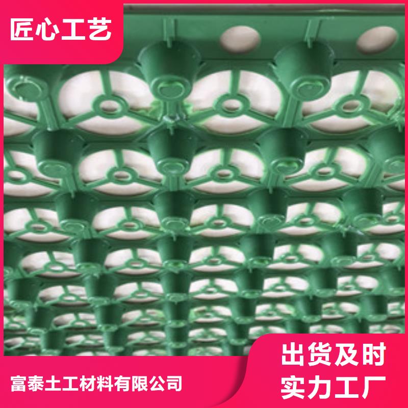 《富泰》【 蓄排水板-土工布厂家服务至上】kkfgg.com