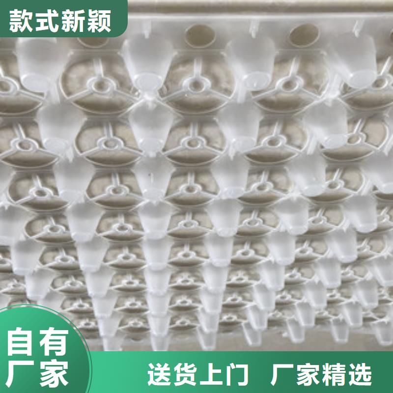 |保靖|古丈|长沙|永州|株洲|益阳(富泰)【 蓄排水板土工布厂家好产品好服务】