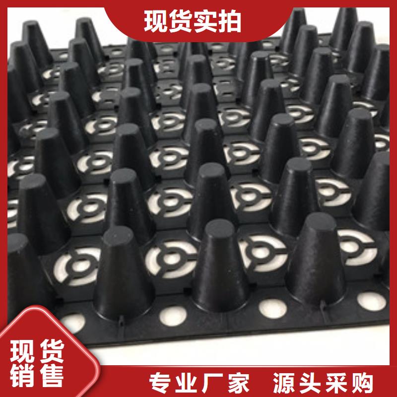 蓄排水板土工布厂家热销产品