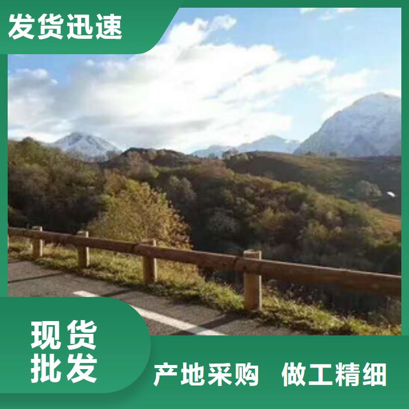 《飞龙》钢背木护栏_【防撞护栏】N年大品牌
