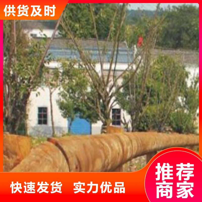 《飞龙》钢背木护栏_【防撞护栏】N年大品牌