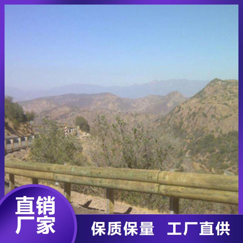 【钢背木护栏】防撞护栏厂家直销放心_飞龙金属材料(东营市分公司)