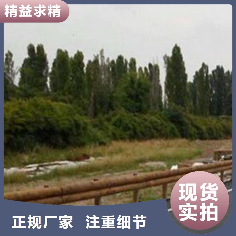 《飞龙》钢背木护栏_【防撞护栏】N年大品牌