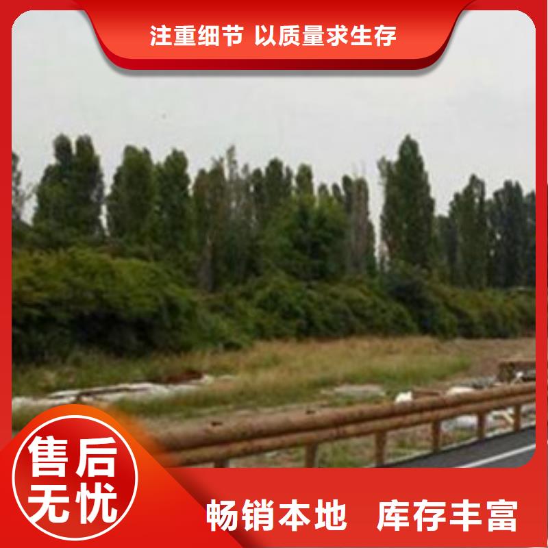 《飞龙》钢背木护栏_【防撞护栏】N年大品牌