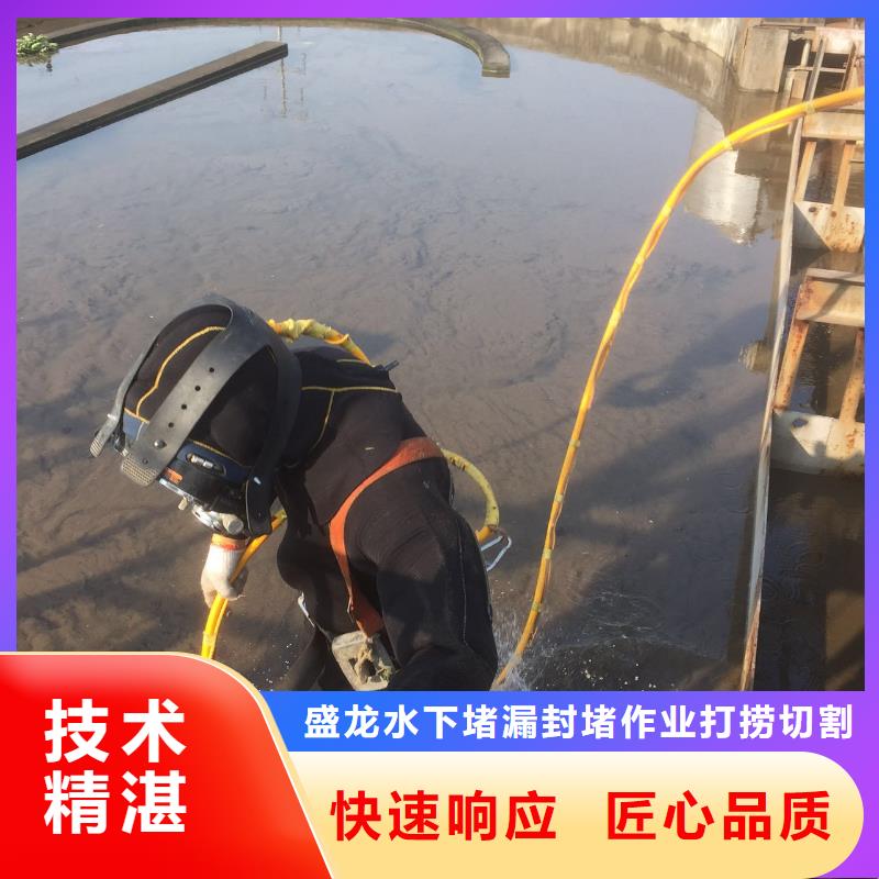 本地的水下打捞队实体厂家