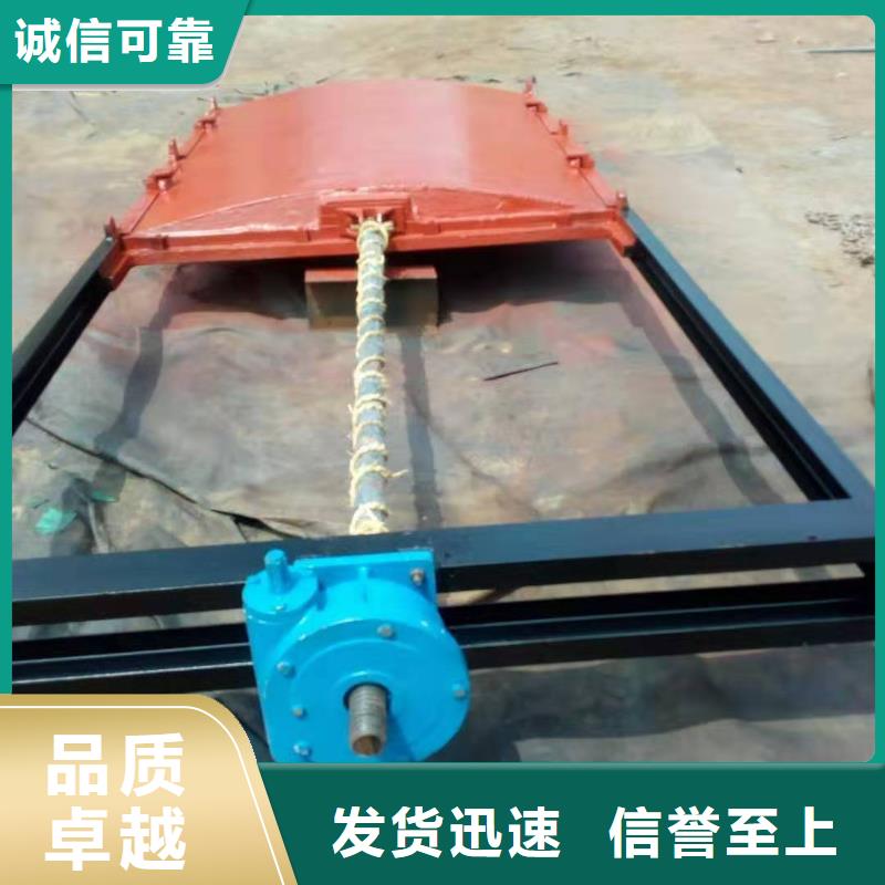 泵站铸铁闸门实体生产厂家