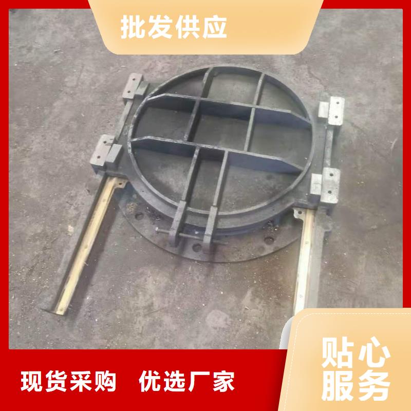 供应批发铸铁闸门-品牌