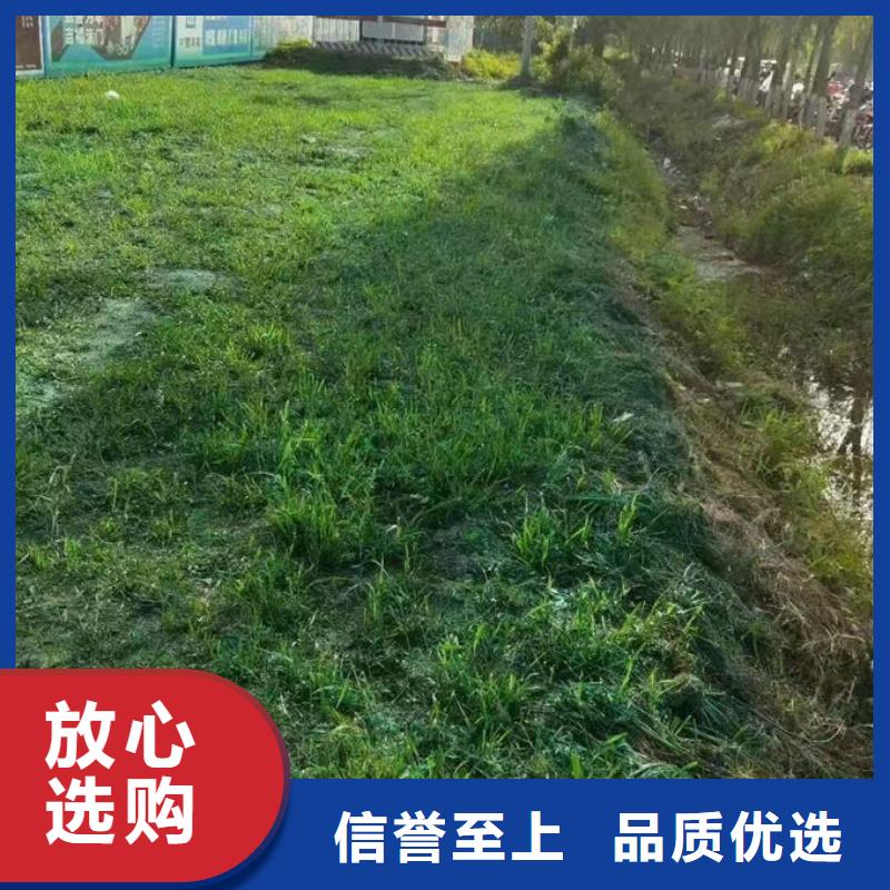 绿色结壳抑尘剂诚信为本