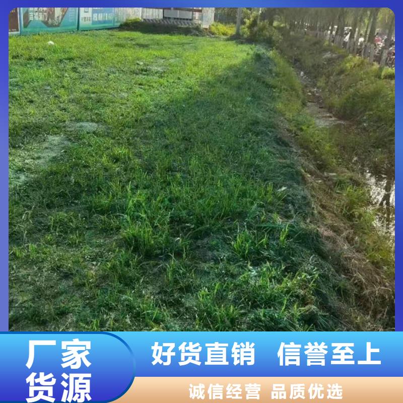 工地抑尘剂色浆支持批发零售