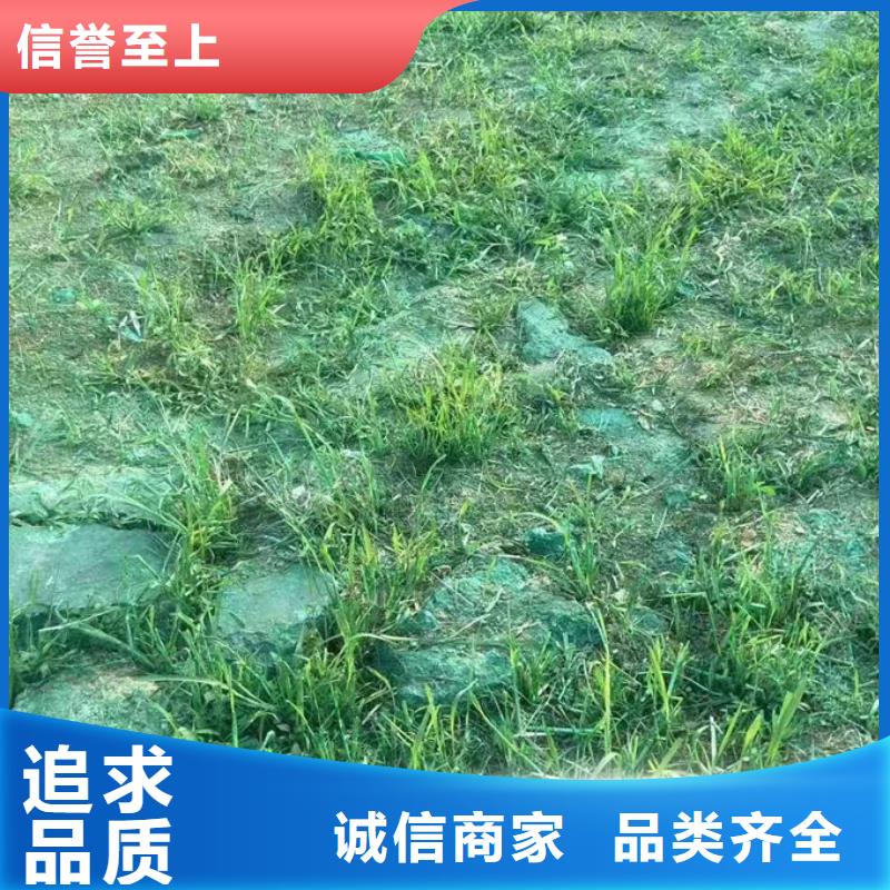 环保抑尘剂产品咨询
