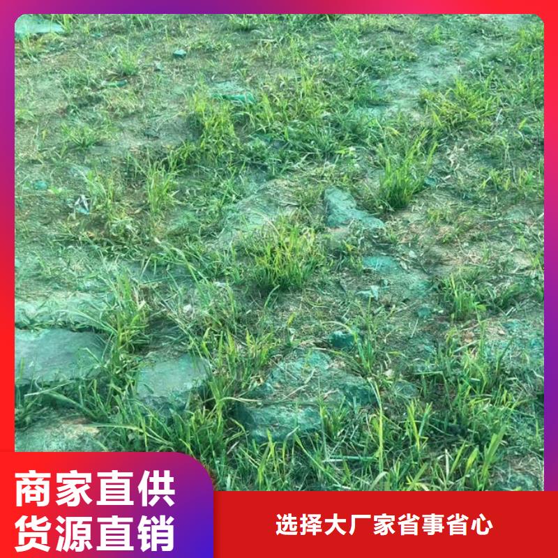 道路保湿抑尘剂量大从优