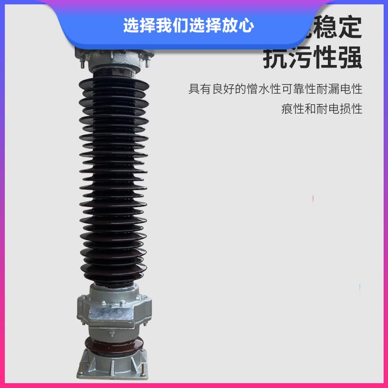 HY5WS-17/46.5高压避雷器