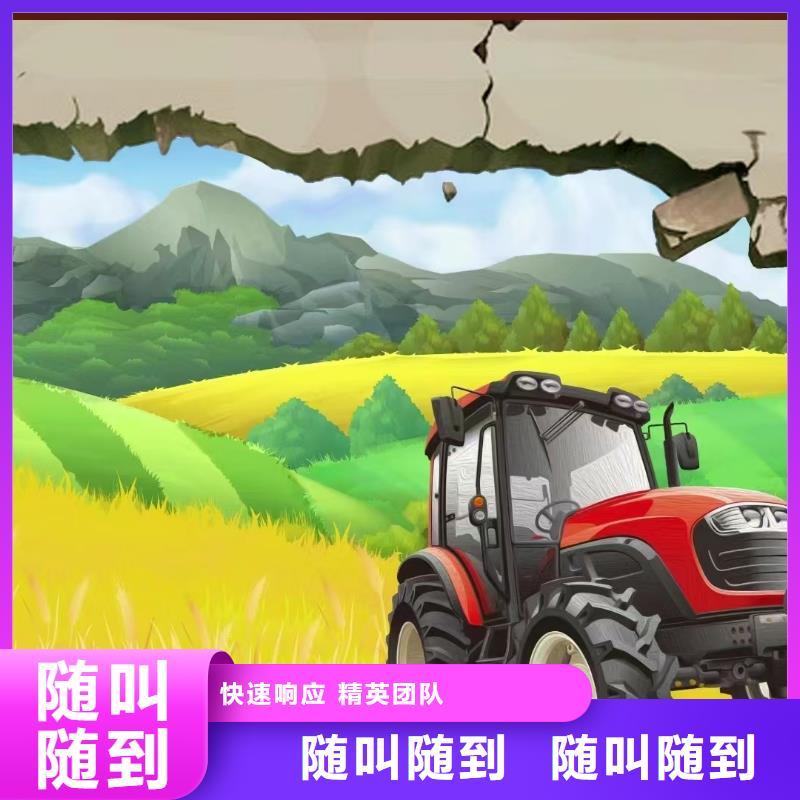 大连墙绘手绘3D彩绘户外墙画先进的技术