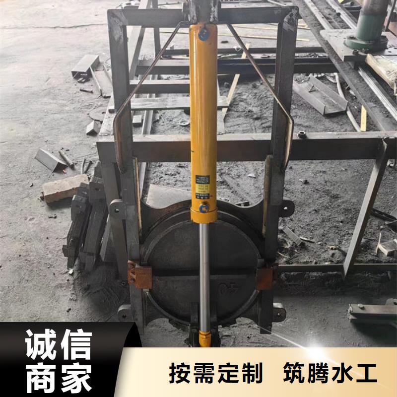 机闸一体式闸门厂家直营