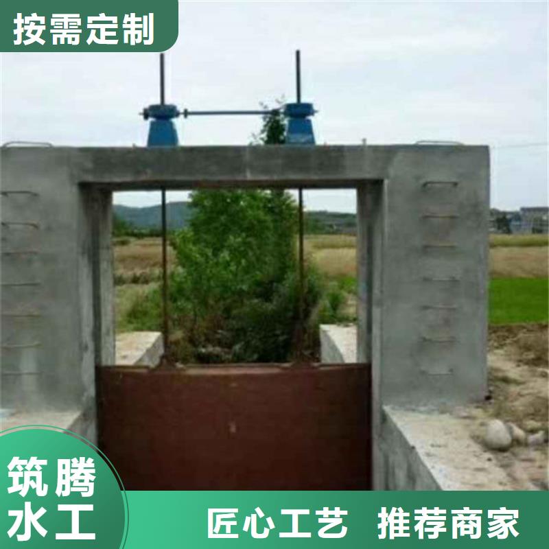 机闸一体式闸门厂家直营