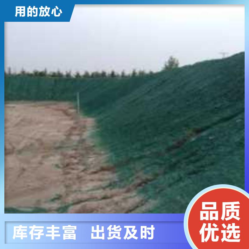 结壳环保降尘剂技术支持