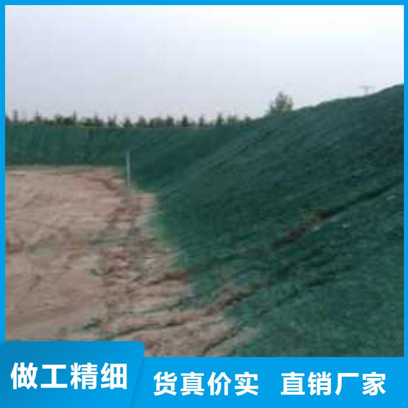 道路降尘剂实力厂家