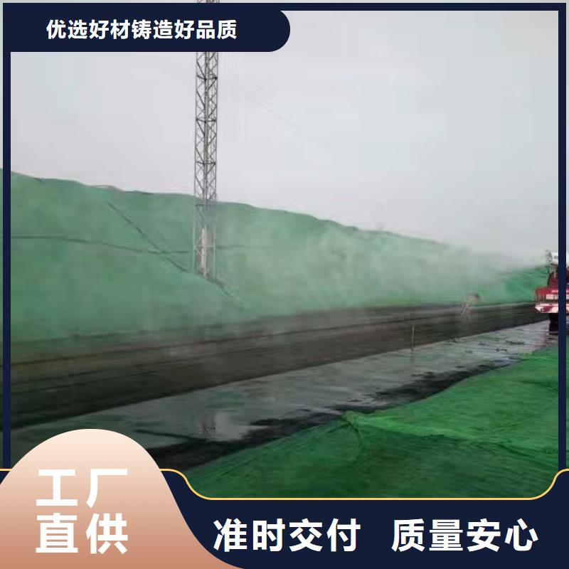 道路生物型降尘剂生产厂家
